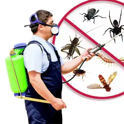 pest control Hillside Lake